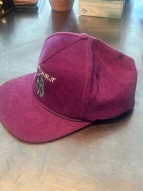Dinosaur Jr Purple Corduroy Snap Back Hat Cap